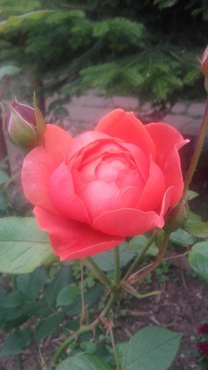 20160521_100612
