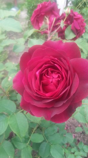 20160521_100738