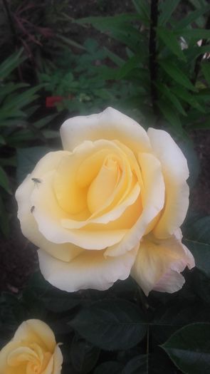 20160521_100809