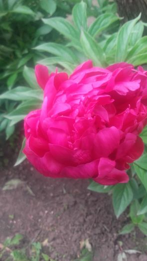20160521_100849