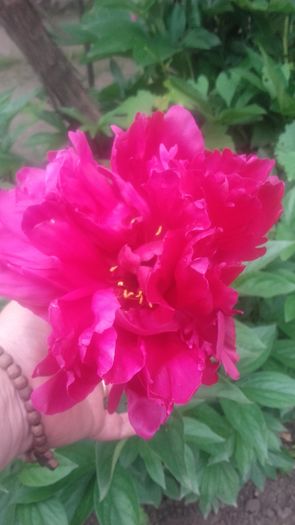 20160521_100903