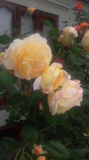 20160521_101543