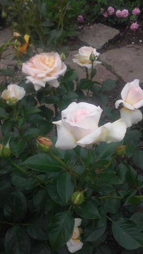 20160521_102133