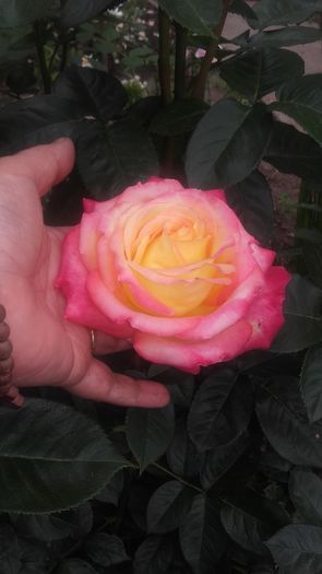 20160521_102319