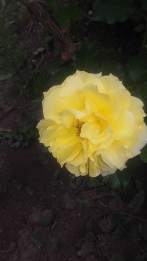 20160521_102433