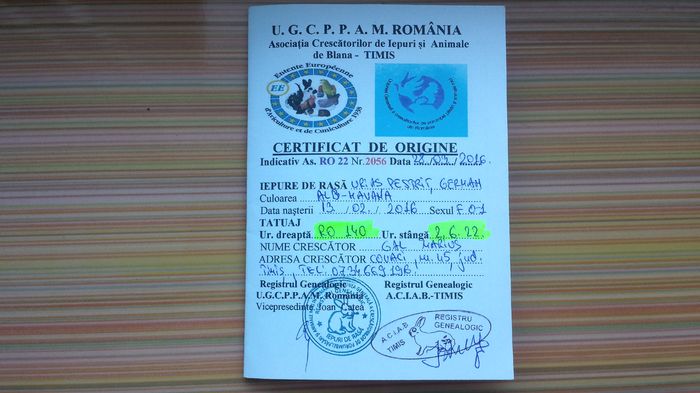 Certificatul de origine - 9---x ACHIZITII facute in 2016 --- x