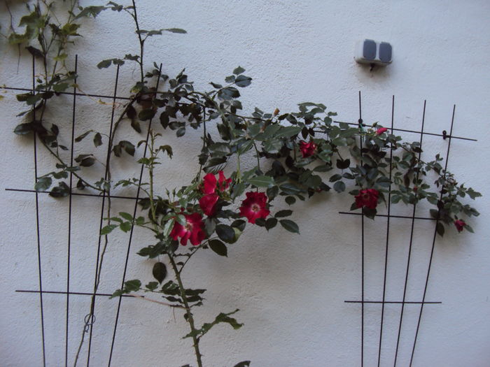 DSC01061