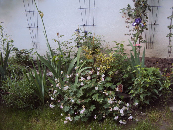 DSC01069