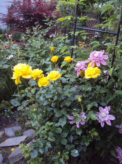 DSC01082