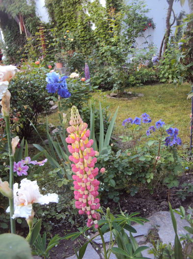 DSC01095