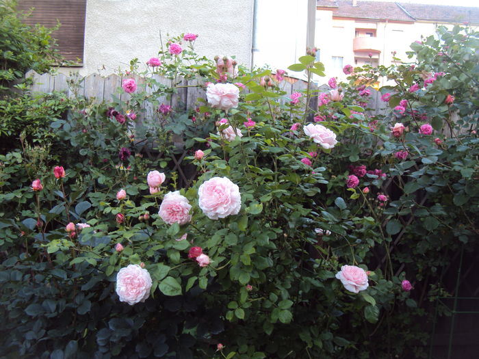 DSC01097