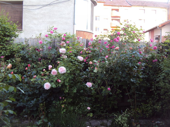 DSC01105