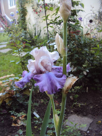 DSC01144