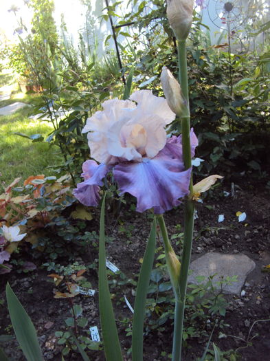 DSC01186