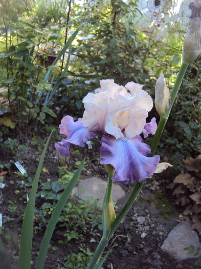 DSC01187