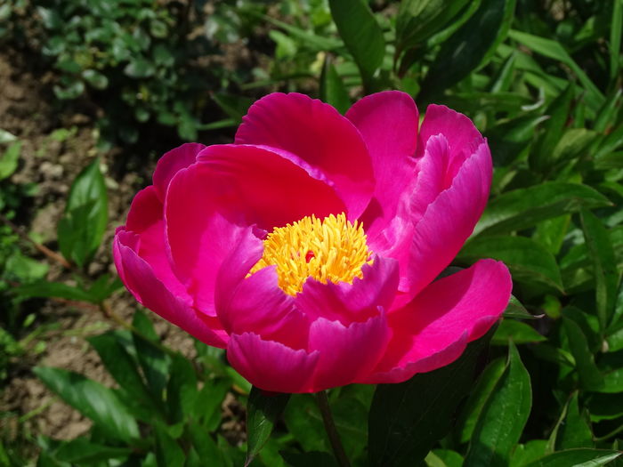 21.05 - b-primavara-2016