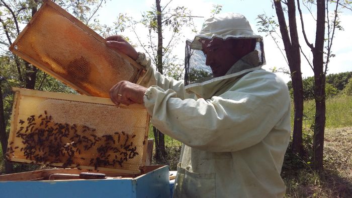 22 mai 2016 stationar - 03 Albinutele mele