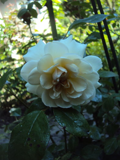 DSC01246