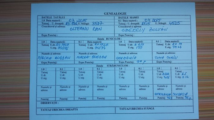 Genealogie - 03 Femela 3 RO753 2617