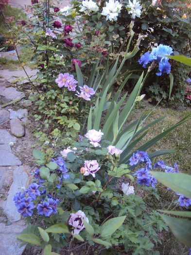 DSC01302