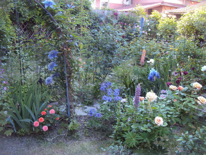 DSC01313