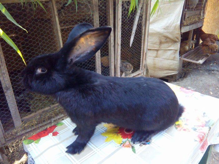 received_503656863159656