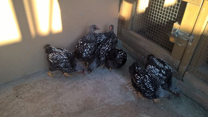 WP_20160522_19_13_09_Pro