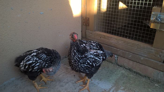 WP_20160522_19_15_32_Pro