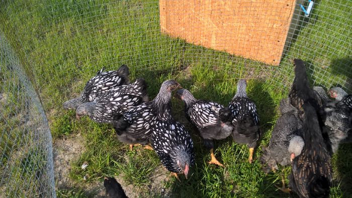 WP_20160522_17_18_23_Pro