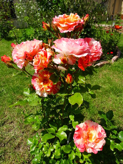 DSC07324 - Alfred Sisley