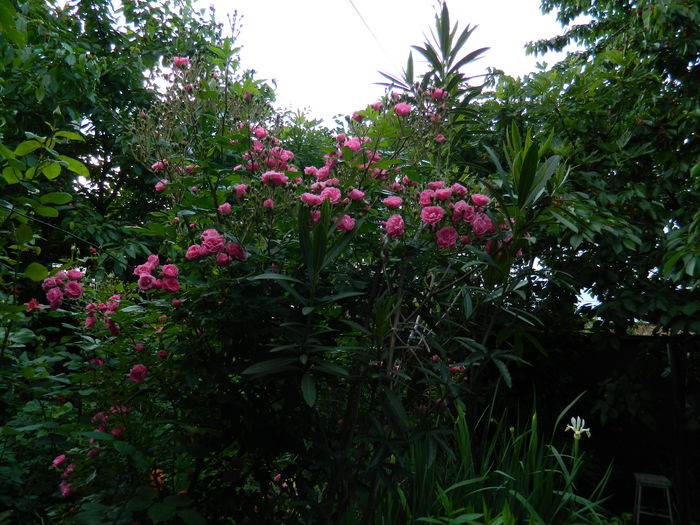 DSCN9183