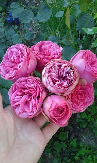 14640165012081473191091