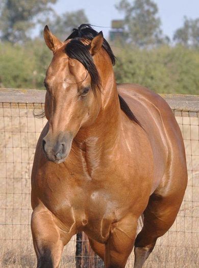 FB_IMG_1464022416834