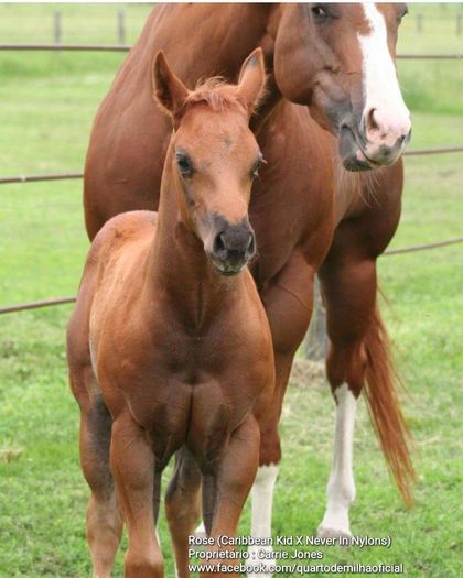 FB_IMG_1464022429771