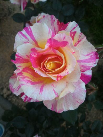 P_20160523_205013_1_p