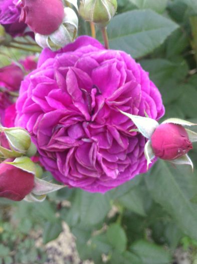 P_20160523_202143_1_p