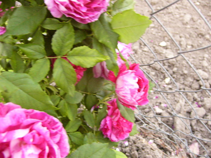 P1270849