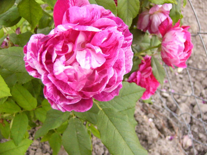 P1270850