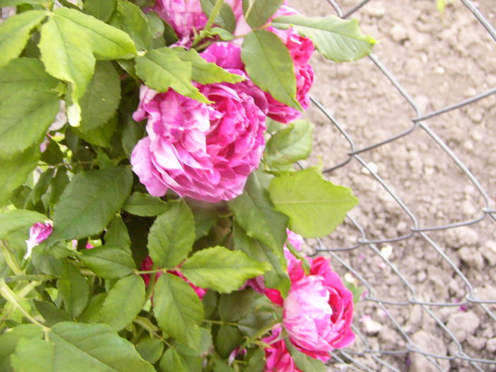 P1270851