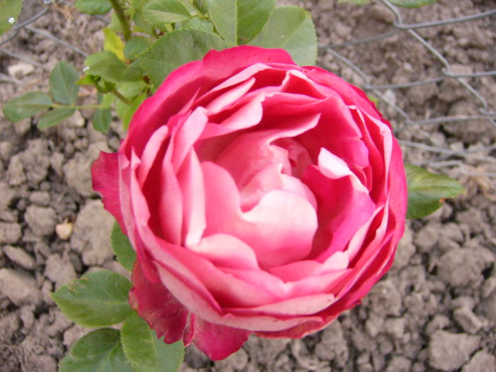 P1270854