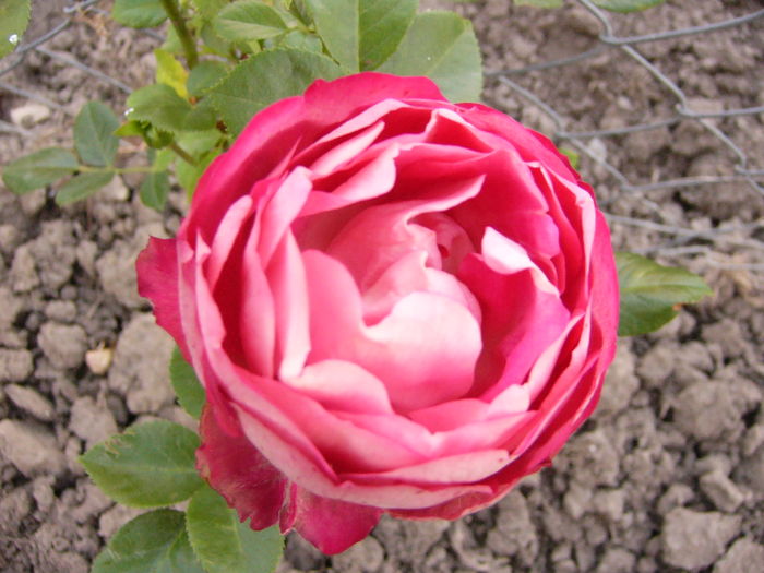P1270855