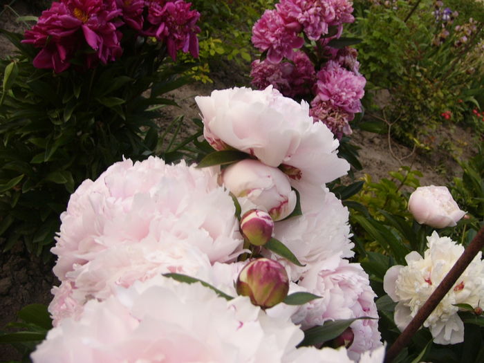P1280042