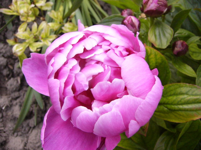 P1280047