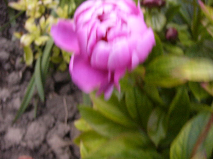 P1280048