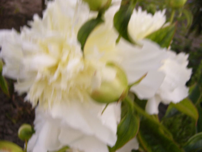 P1280055