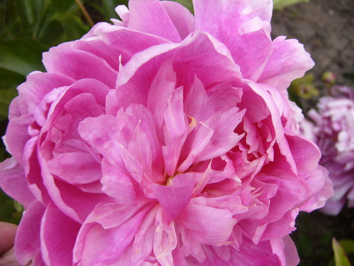 P1280058