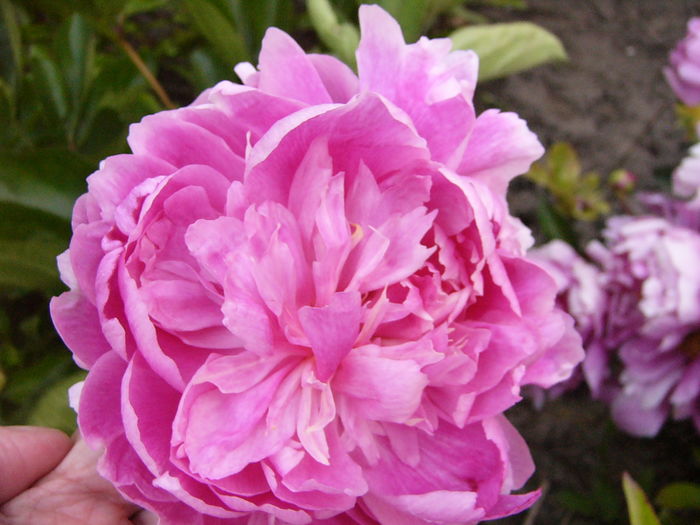 P1280061