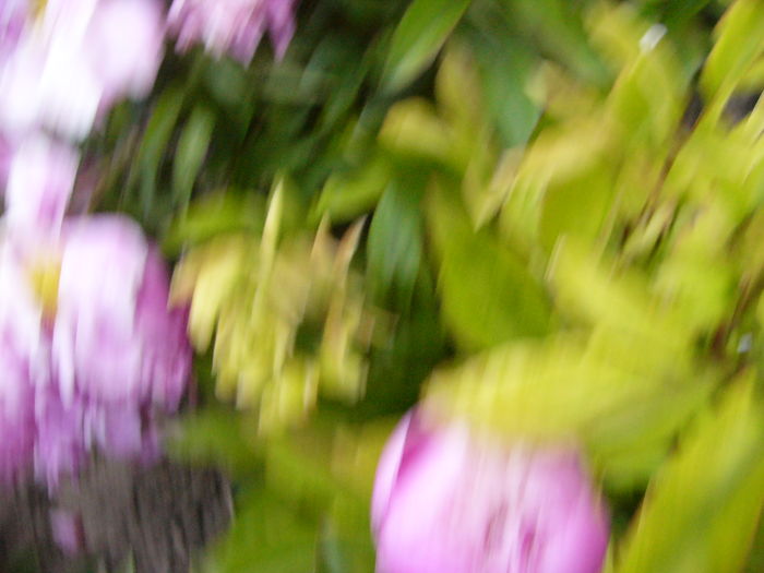 P1280066
