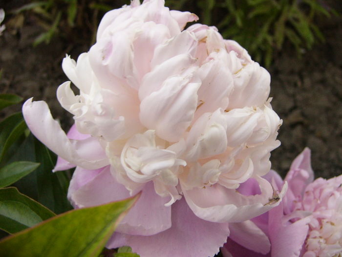 P1280069