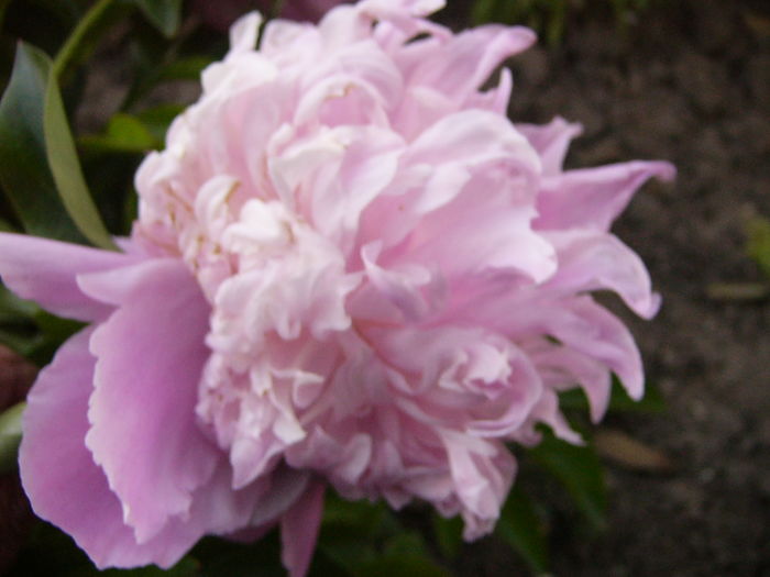P1280072